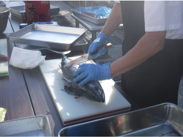 かつおを三枚におろします