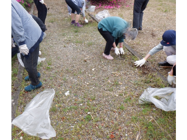 本当に草取りは大変です。お疲れ様でした。