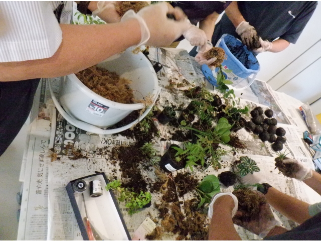 まずはお団子のように