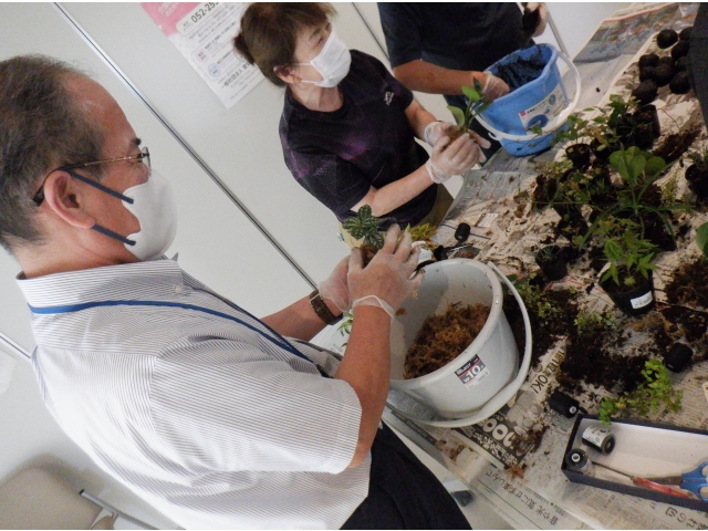 苔をまとわせて