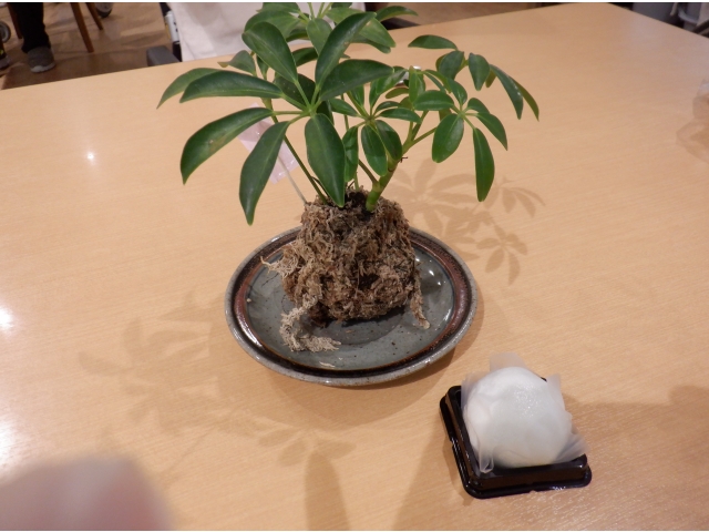 おやつは　お饅頭