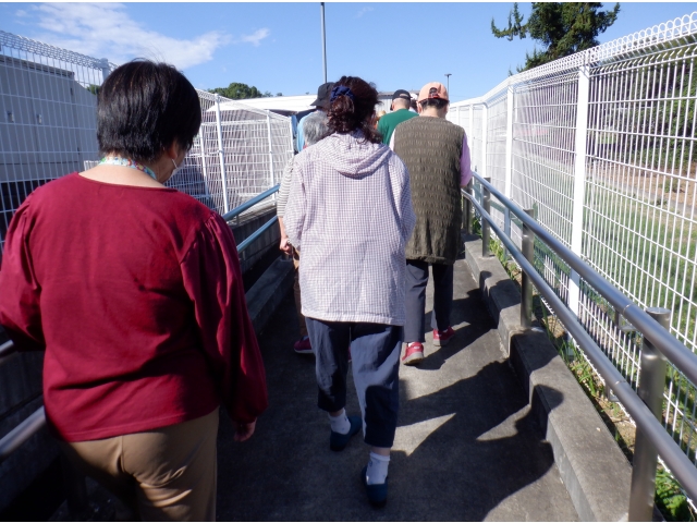 おしゃべりも弾みます🎵