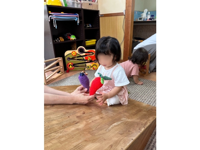 2歳児は、野菜が気に入ったようで持ち歩いていました。