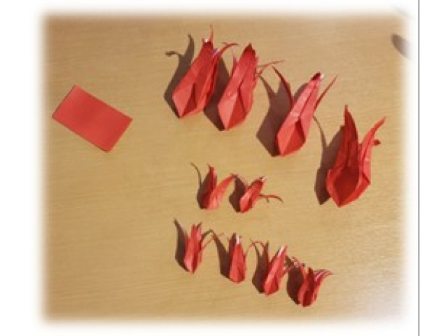 さて、何ができるかな？