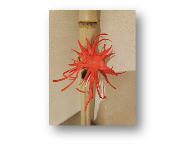 ヒガンバナでした。