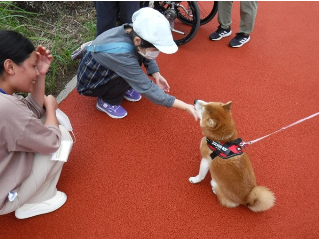 名前は『まめ』💛