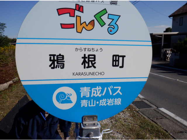 地域のバスを利用して出掛けます。