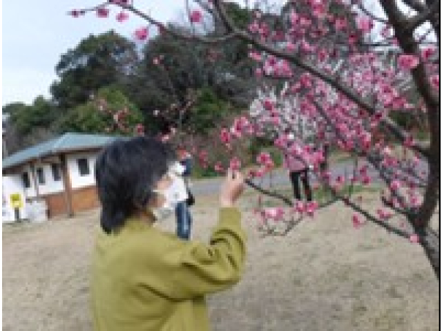 「梅のにおいがするかしら💕」