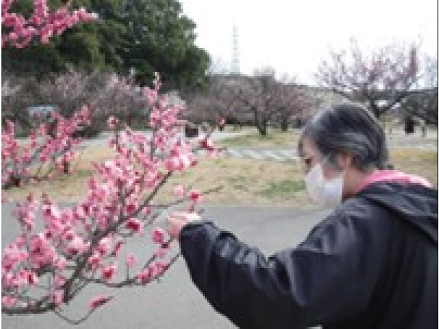 「かわいいね」