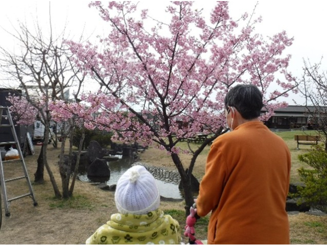 きれいですね～🎵