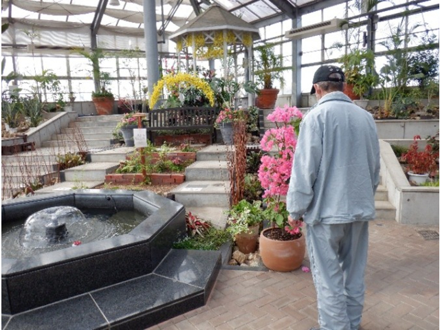 温室にもたくさんの花が咲いており、興味津々。