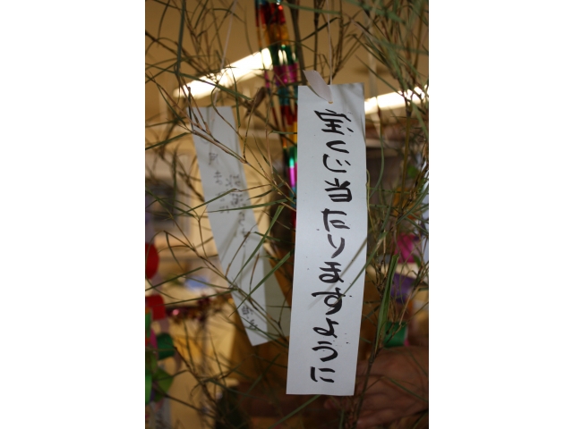 願い事が叶いますように！