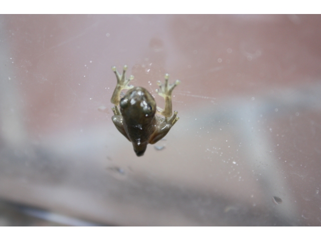 成長が楽しみ！