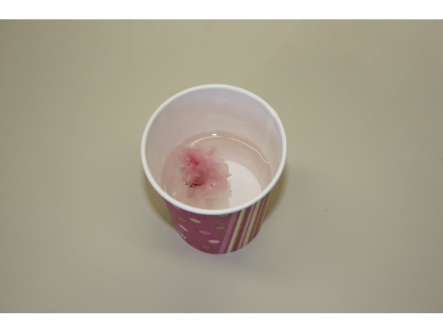 さくら茶は縁起物です