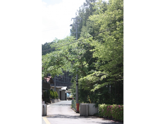 さあ！出発です。