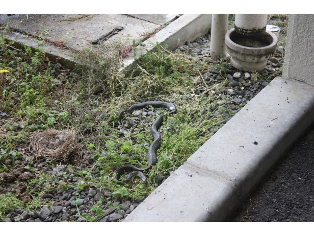 ビックリ！！！