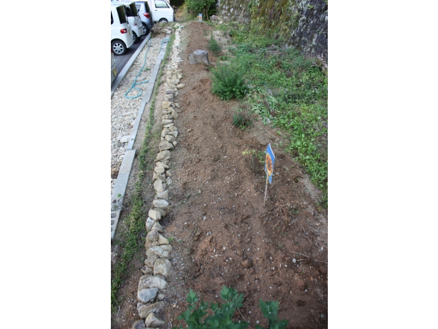 たくさん咲きますように！