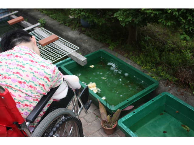 雨が少なく、皆さん心配していました。