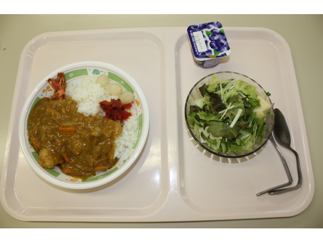エビカレー（普通食）