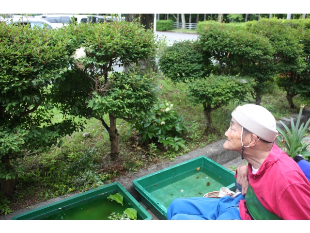 利用者さんもビックリ！