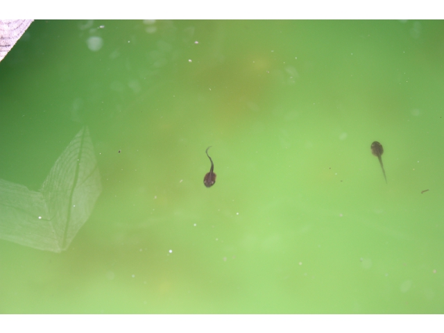 こちらは先輩達です。