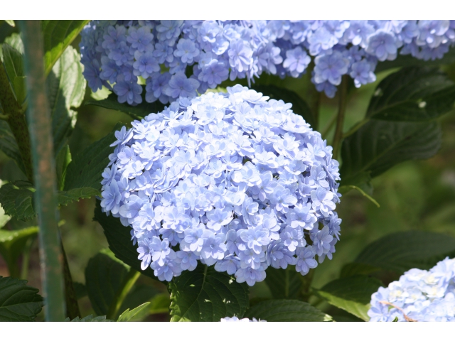 季節を感じられます