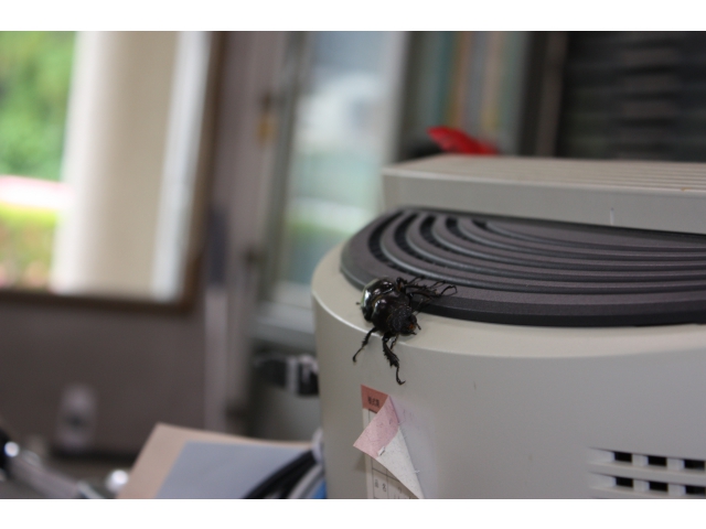 そこは次長さんのPCですよ（8分音符）