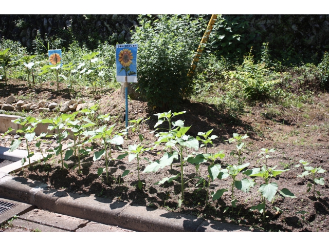 アフター（現在）