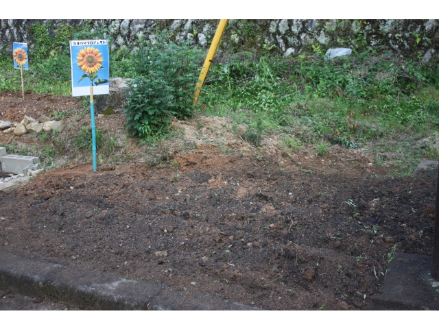 ビフォアー（5月末頃）