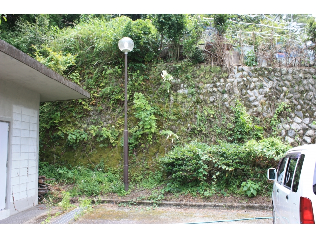 こんな場所に！！