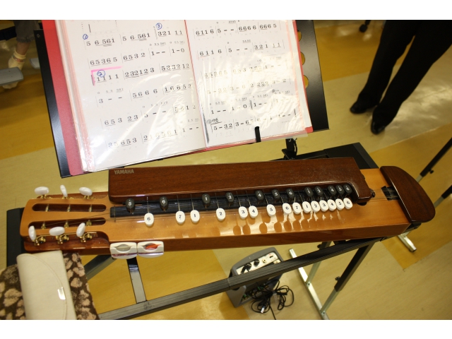 これが大正琴です！