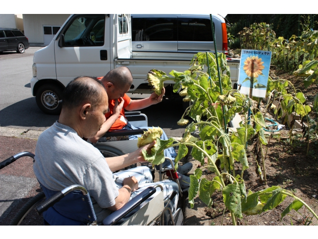 成熟してるかな……