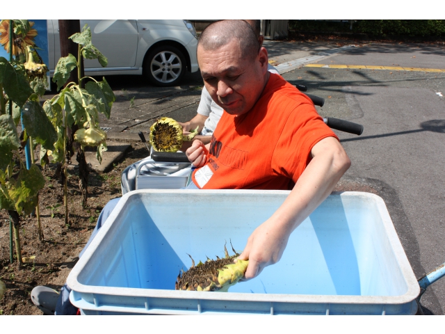 丁寧に詰め込みます