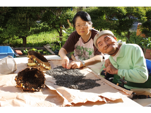 脱穀も大切な作業です