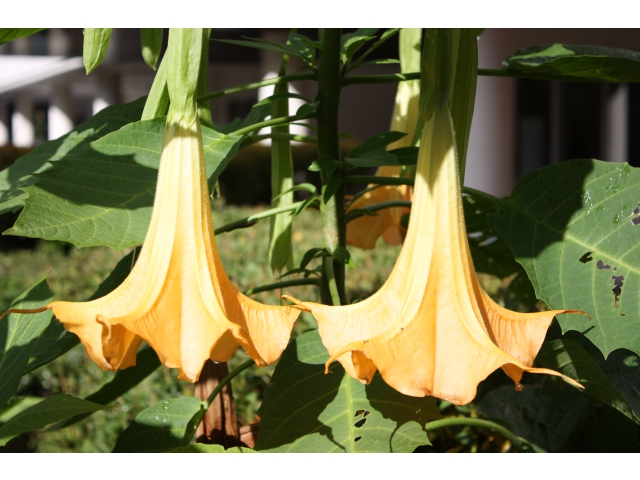 違うものに見えてきます。