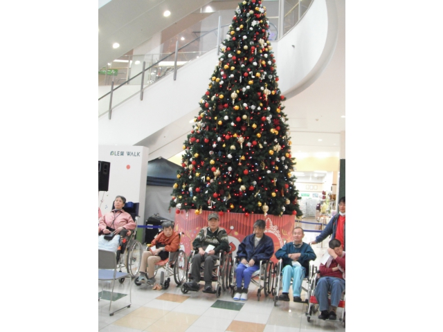 クリスマスツリーの前で記念撮影