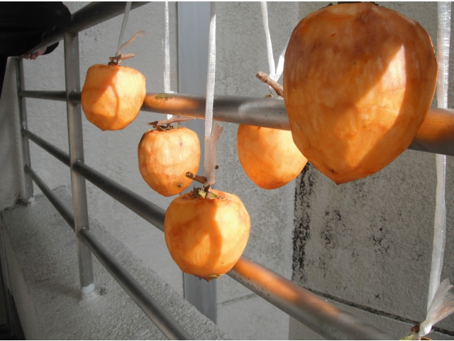 昔のひとの“知恵”に感心します。