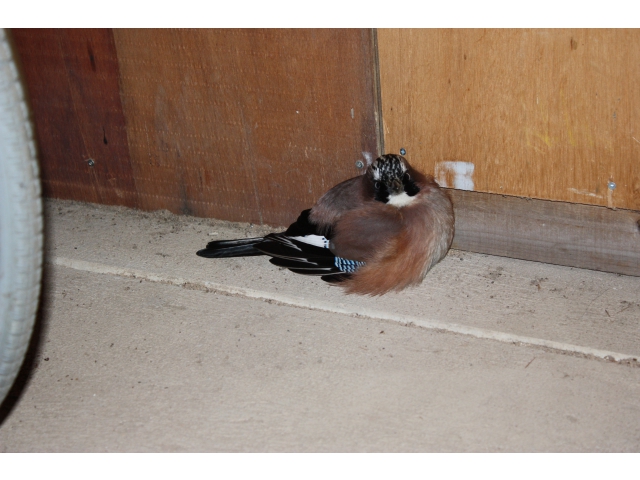 目が合った瞬間！