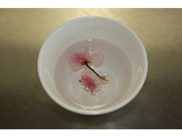 桜茶で乾杯しました