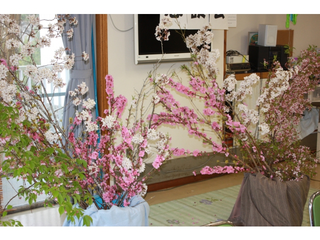 白やピンクの花がきれいですね