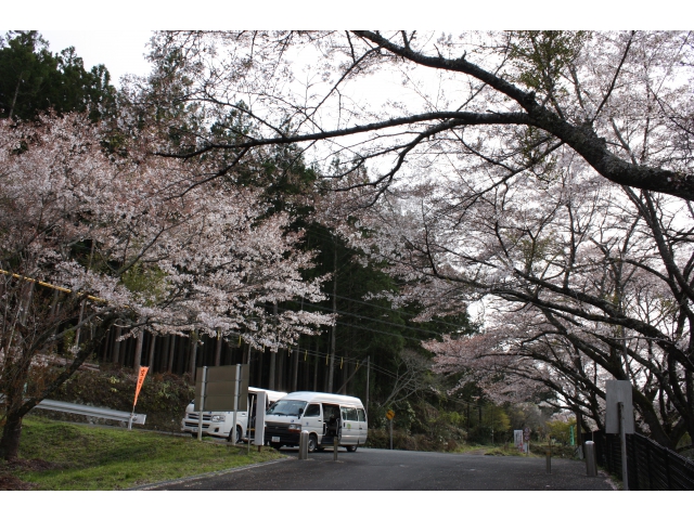 まだまだきれいです