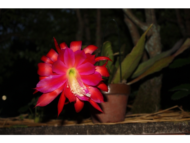 お休みなさい（8分音符）