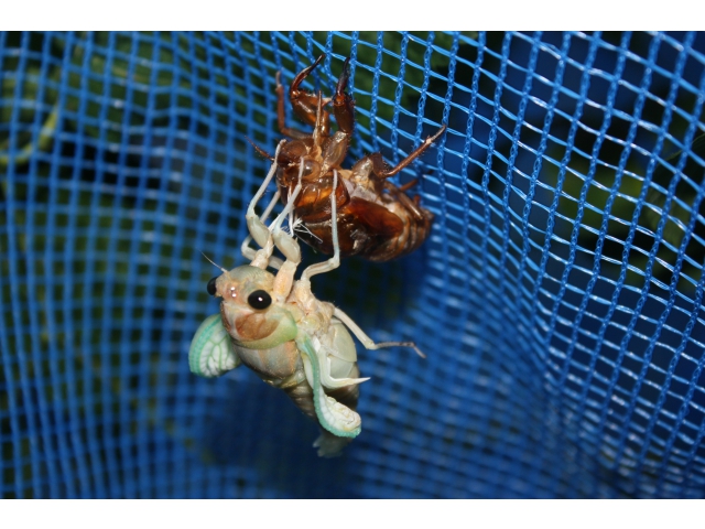 体全体が抜け出しました