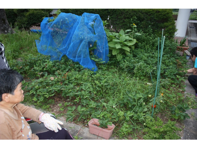 一緒に観察しました