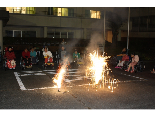 やっぱり花火はキレイです