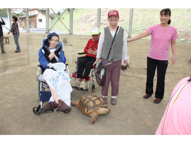 カメと一緒に記念撮影