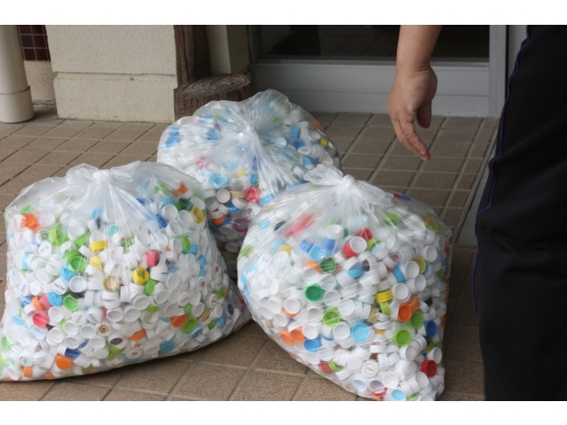 これだけ集まりました