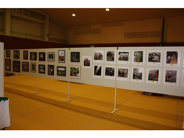 写真の展示作品