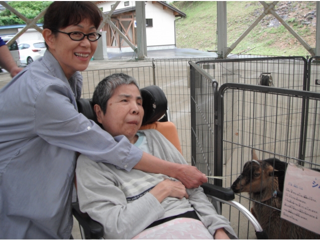 やぎ？もいました