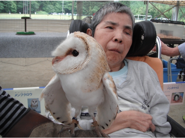 とてもおとなしいです